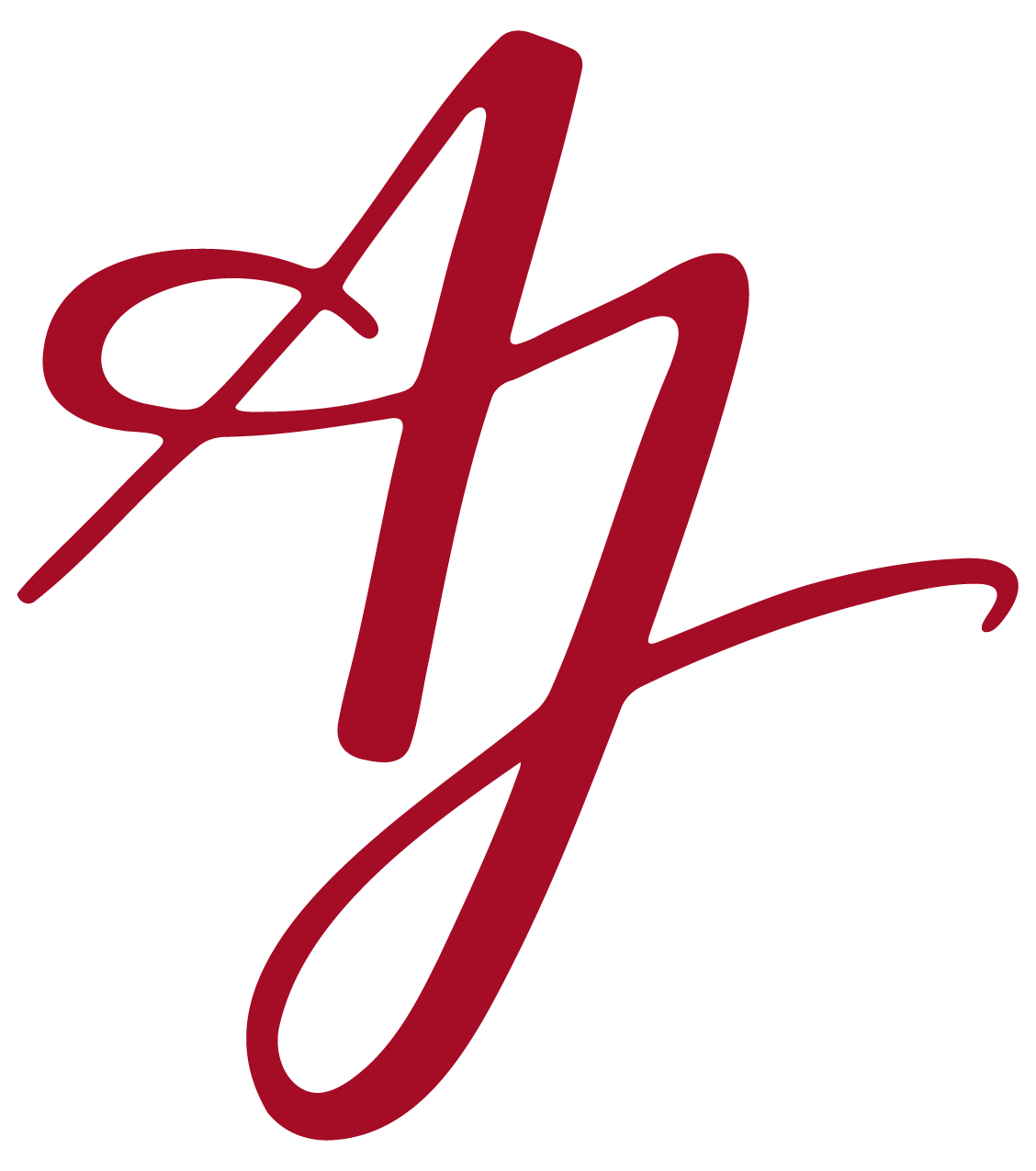 Anna Jeanne Store